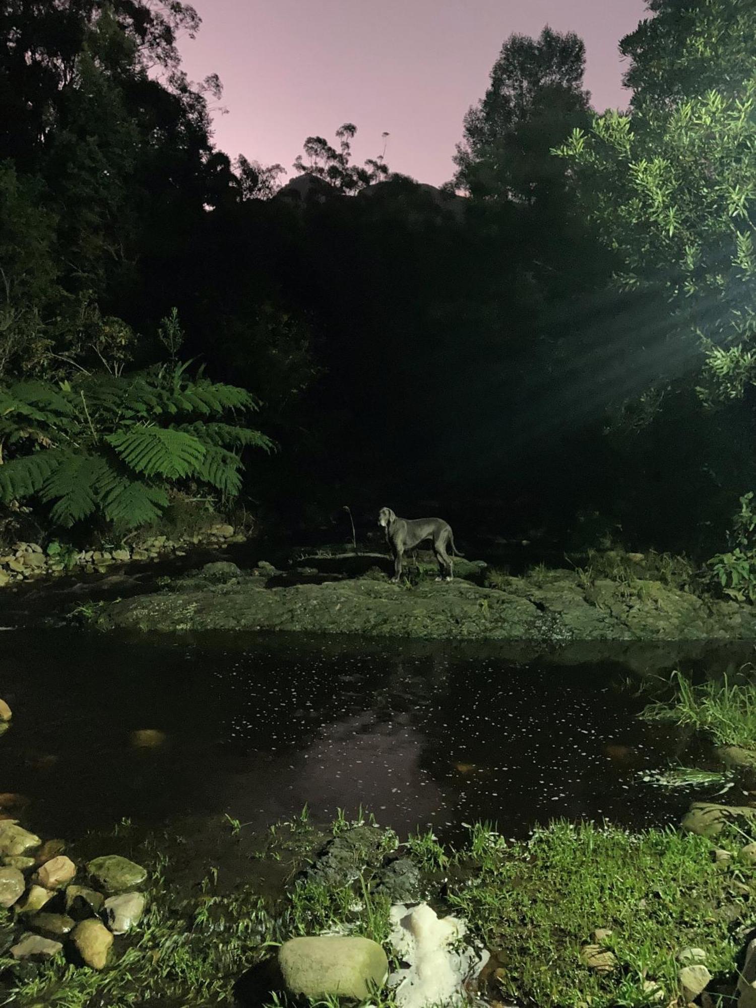 A Riverbed Guesthouse Swellendam Exteriör bild