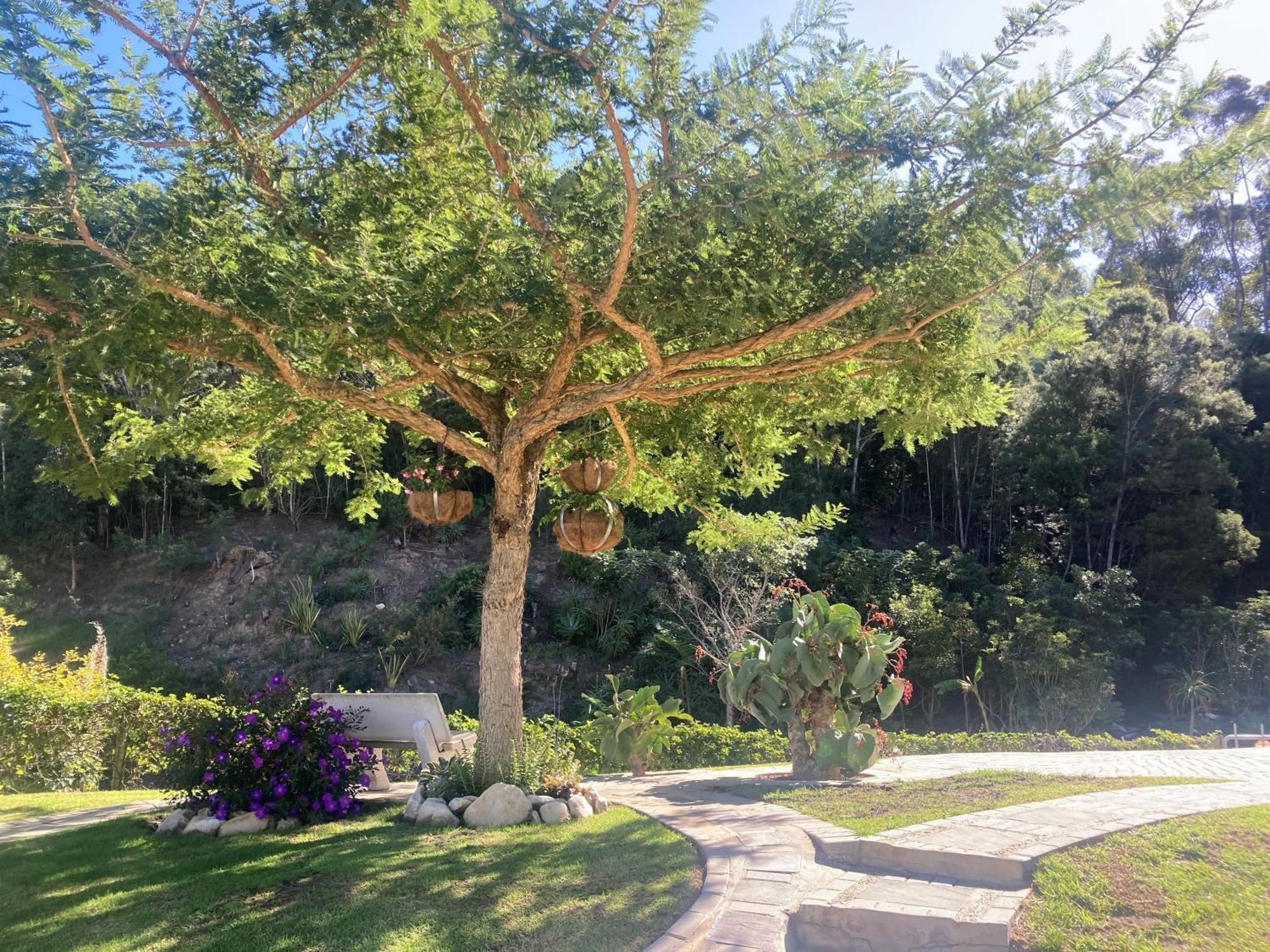 A Riverbed Guesthouse Swellendam Exteriör bild